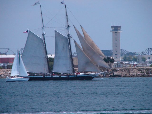 Sailboats in San Diego Bay.