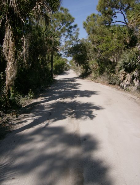 Road across the island.