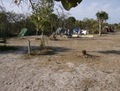 Tent sites on Cayo Costa
