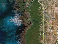  Chassahowitzka River is south of the Homosassa River