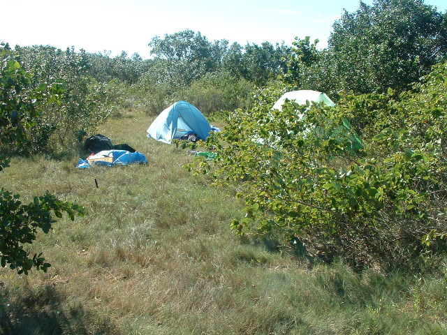 inland_campsite.JPG