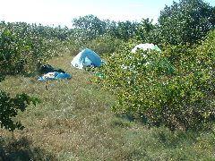 inland_campsite.JPG