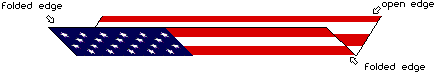 FLAG 3