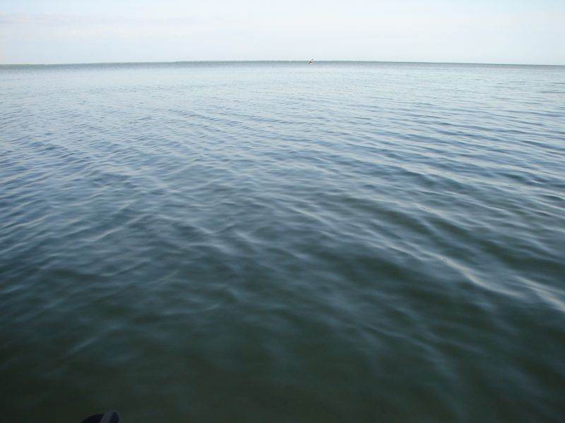 Paddling from coast to Pavilion Key