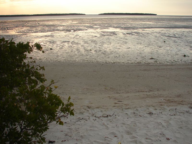 Monday morning low tide